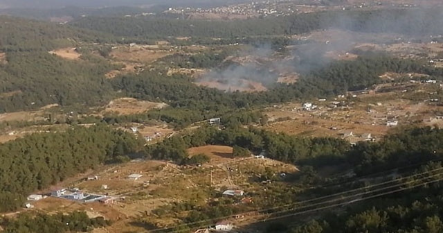 İzmir&#039;de ormanlık alanda yangın çıktı