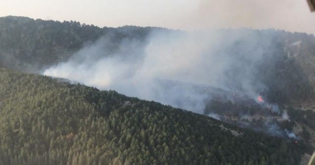 İzmir&#039;de ormanlık alanda yangın paniği