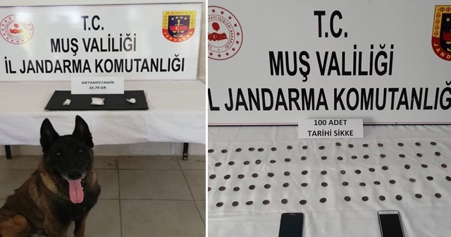 Jandarmadan uyuşturucu ve tarihi eser operasyonu: 10 gözaltı