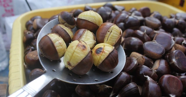 Kestane tezgahlara çıktı, kilosu 100 lira