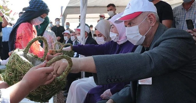 Koronavirüsü atlatan Binali Yıldırım ve eşi Şanlıurfa'da fıstık hasadına katıldı
