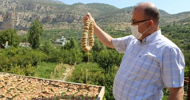 Mersin&#039;de incir altın yılını yaşıyor