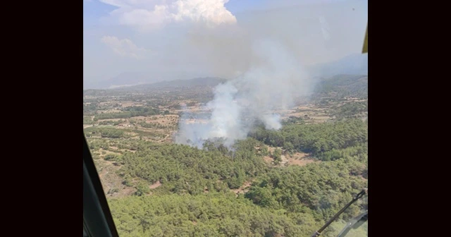 Milas’ta orman yangını