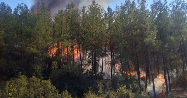 Muğla&#039;da çıkan dördüncü orman yangını da kontrol altına alındı