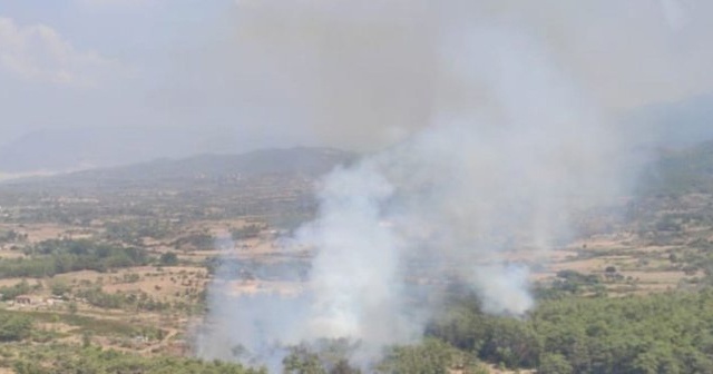 Muğla'da çıkan orman yangını söndürüldü