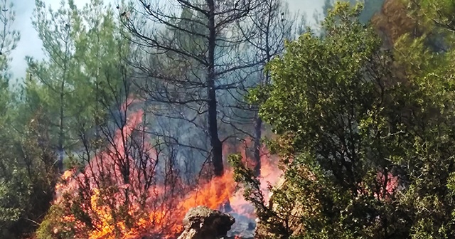 Muğla’daki yangınlar kontrol altına alındı