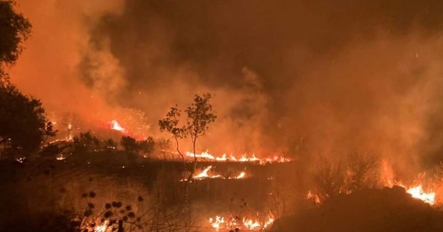 Ödemiş’te evde çıkan yangın zeytinlik alana sıçradı