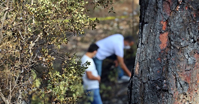 Ormanlık alanda yangın sonrası yanmış ceset bulundu