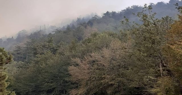 Osmaniye'deki orman yangınını söndürme çalışması devam ediyor