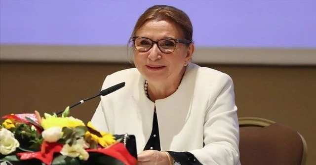 Pekcan: 2021'de en etkin ve hızlı toparlanan ülkeler arasında yer alacağımızı değerlendiriyoruz