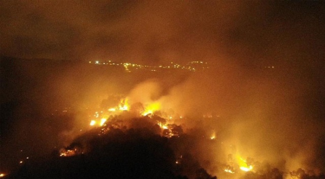 Pendik&#039;te korkutan orman yangını