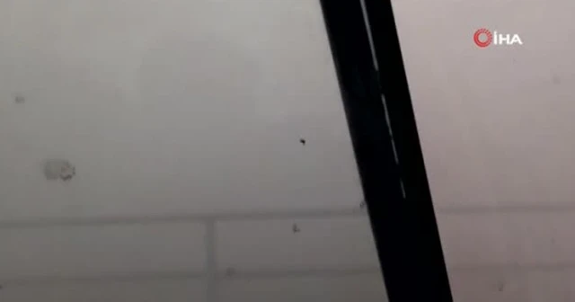 Polatlı'daki toz fırtınasında hayvanların kaçışı kamerada