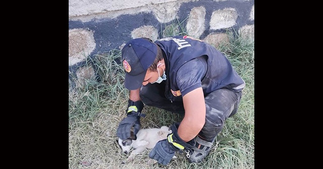 Rögara düşen yavru köpeği itfaiye ekipleri kurtardı