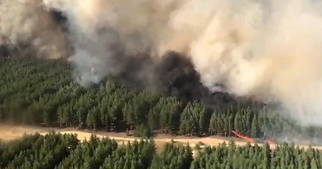 Rusya&#039;da ormanlık alanda yangın: 2 ölü