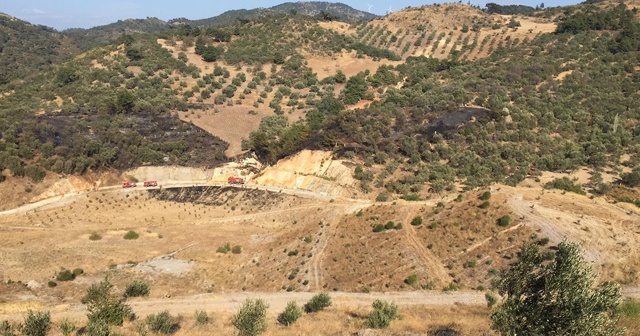 Şiddetli rüzgara rağmen zeytinlik yangını büyümeden söndürüldü