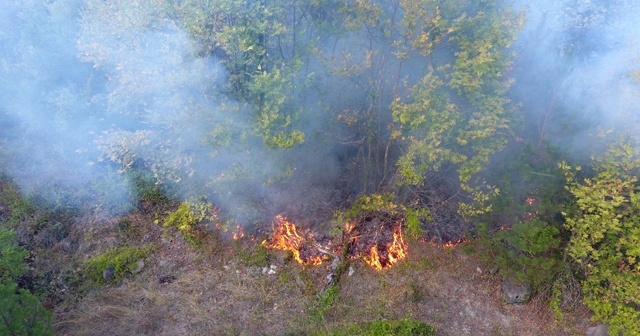 Sinop’ta orman yangını