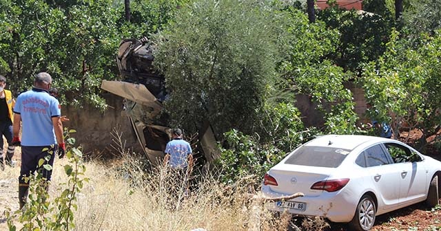 Tarlaya uçan araca fıstık ağacı ok gibi saplandı: 6 yaralı