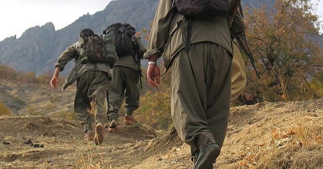 Terör örgütü YPG/PKK bir kız çocuğunu daha kaçırdı