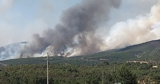 Uşak’ta orman yangını