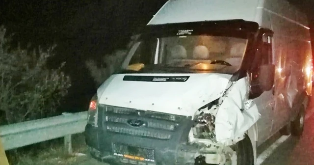Yola çıkan inek kazaya neden oldu