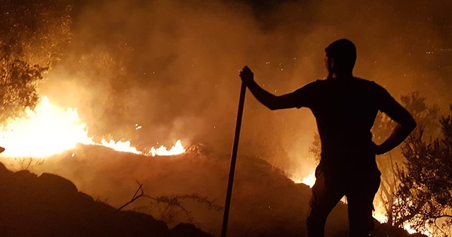 Zeytinlik alanda çıkan yangın korkuttu