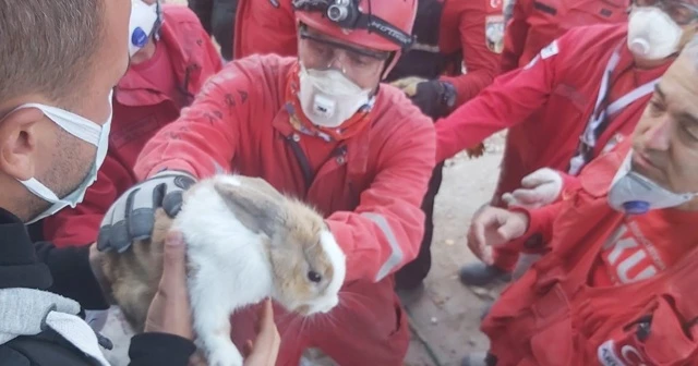 ‘Ponpon’ enkaz altından çıkarıldı