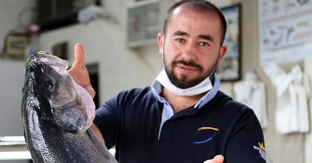 15 kilogramlık levreğin fiyatı dudak uçuklatıyor