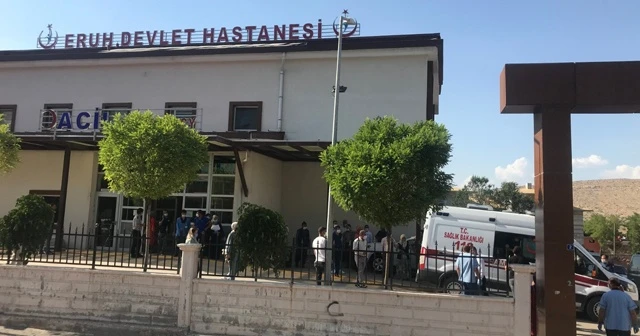 Ağaçtan düşen kadın hayatını kaybetti