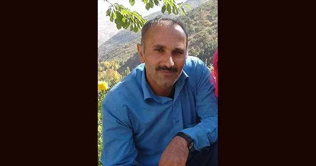 Ağaçtan düşen şahıs hayatını kaybetti