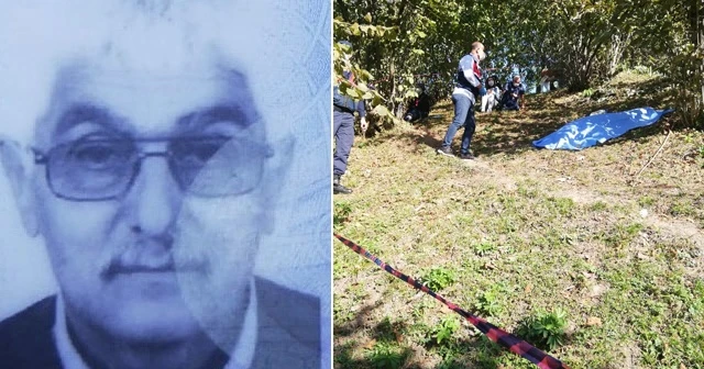 Ağaçtan düşen şahıs hayatını kaybetti