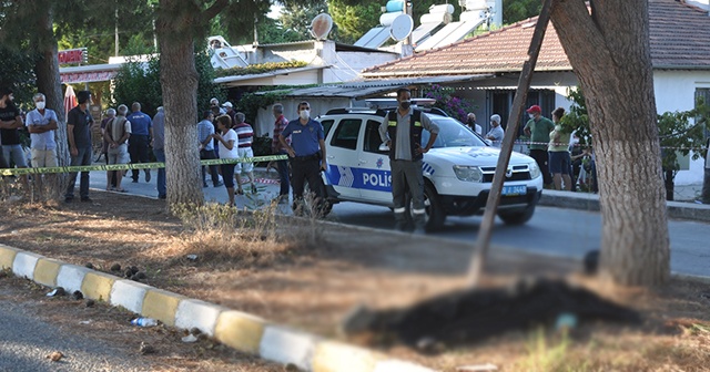 Ağaçtan kozalak çırparken elektrik akımına kapılan işçi öldü