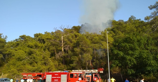 Antalya&#039;da orman yangını