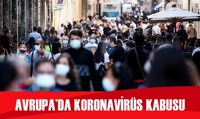 Avrupa'da vaka sayılarındaki artış sürüyor