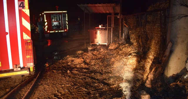 Aydın&#039;da hayvan damı ve saman deposu alevlere teslim oldu