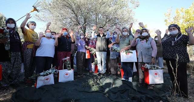 Bakan Pakdemirli kadın çiftçilerle zeytin hasadına katıldı