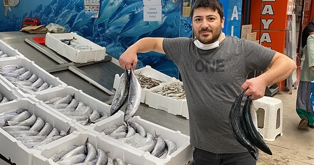 Balıkçıların yüzünü palamut güldürdü