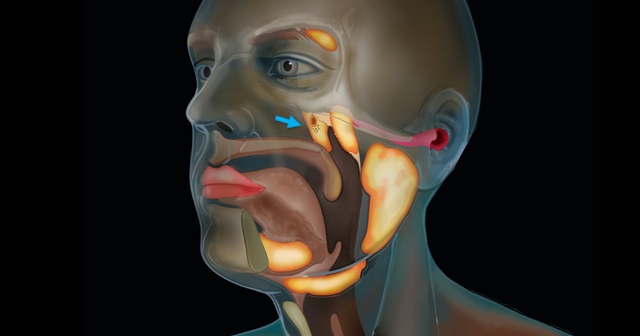 Bilim insanları, kafatasında yeni bir organ bulduklarını açıkladı