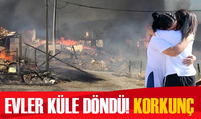 Bolu&#039;da korkutan yangın!