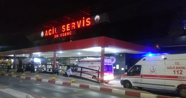 Budamak istediği ağaçtan düşen şahıs öldü