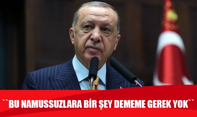 Cumhurbaşkanı Erdoğan: Bu namussuzlara bir şey dememe gerek yok