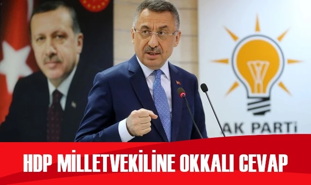 Cumhurbaşkanı Yardımcısı Oktay&#039;dan HDP milletvekiline okkalı cevap