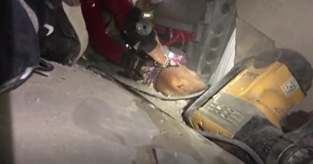 Depremde enkazda kalan İnci Okan&#039;ın köpeği de kurtarıldı