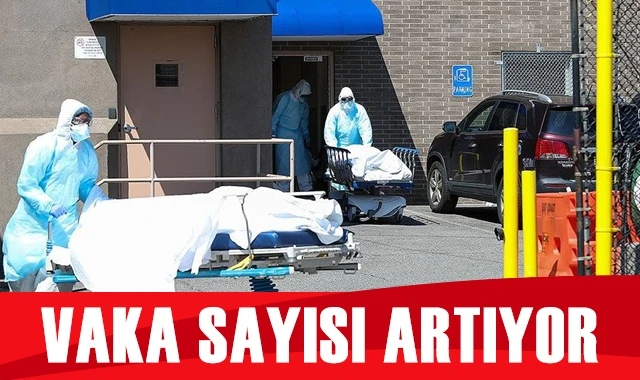 Dünya genelinde Kovid-19 tespit edilen kişi sayısı 39 milyon 593 bini aştı