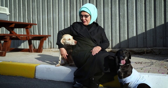 Emine Erdoğan, barınaktaki &#039;Leblebi&#039; isimli engelli köpeği sahiplendi