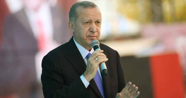 Erdoğan, dayanışma mesajı veren ülkelere teşekkür etti