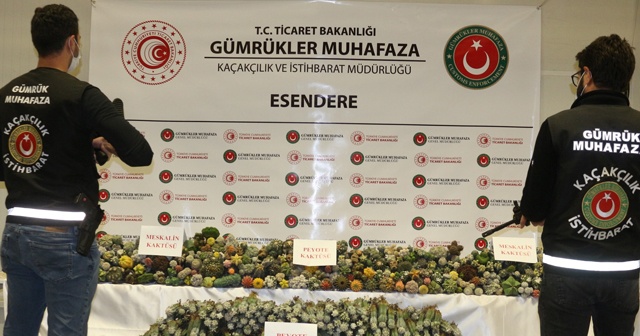 Esendere Gümrük Kapısında 113 kilogram uyuşturucu ele geçirildi