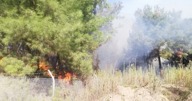 Hatay&#039;da orman yangını