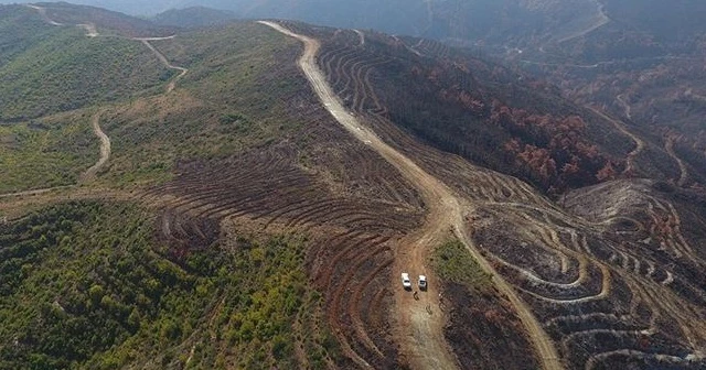 Hatay&#039;daki yangının izlerini silmek için hummalı çalışma