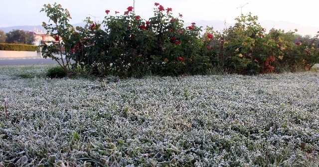 Hava sıcaklığı sıfırın altına düştü