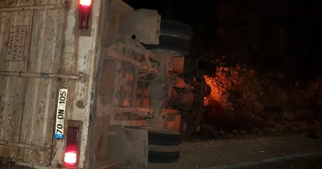 Hayvan yüklü kamyon devrildi